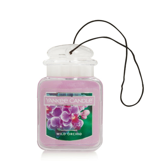 Wild Orchid qke37