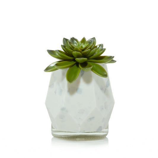 Faceted Succulent ScentPlug® Diffuser with Light 8k7qt